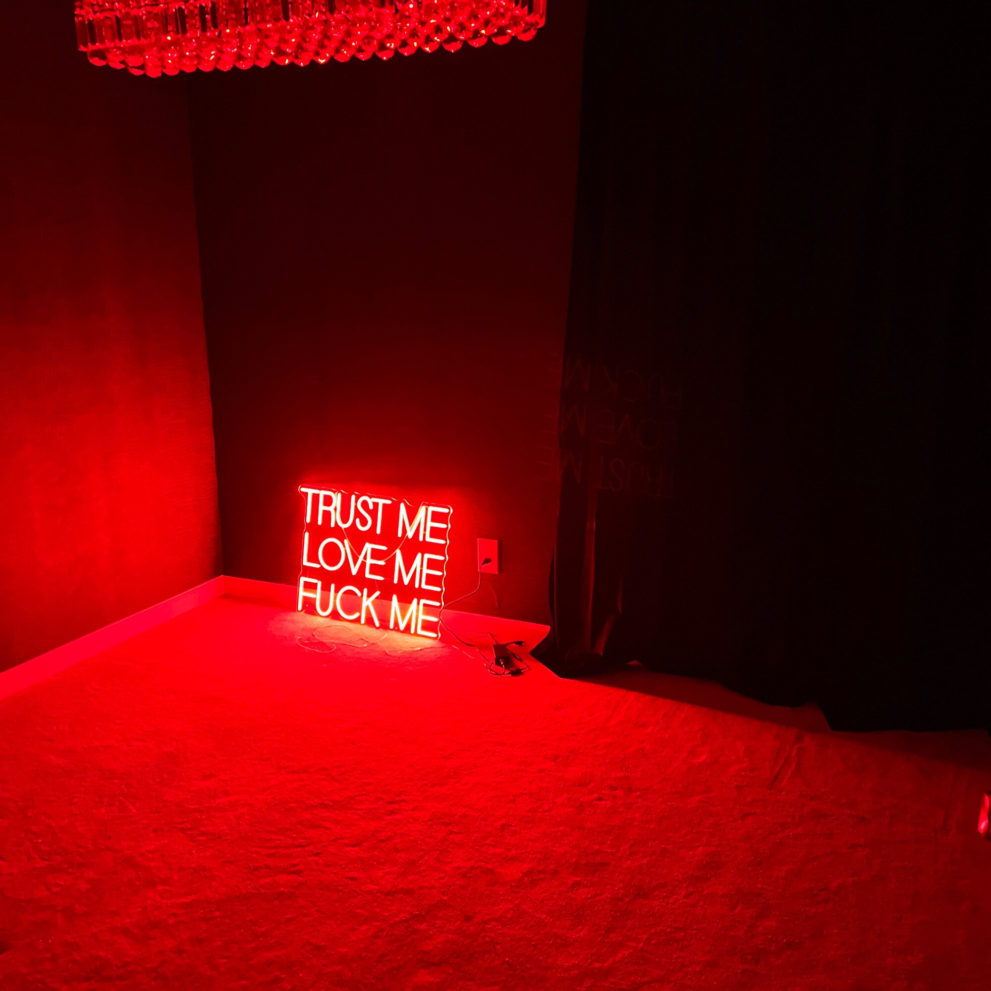 TRUST ME LOVE ME FUCK ME ネオンサイン ライト Amazon.com : ADVPRO