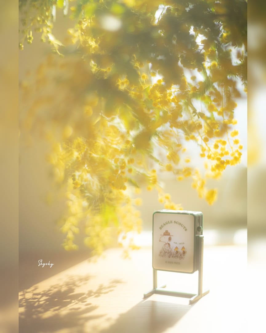 OPF 650-L [BASE] – TOKYO GRAPHER