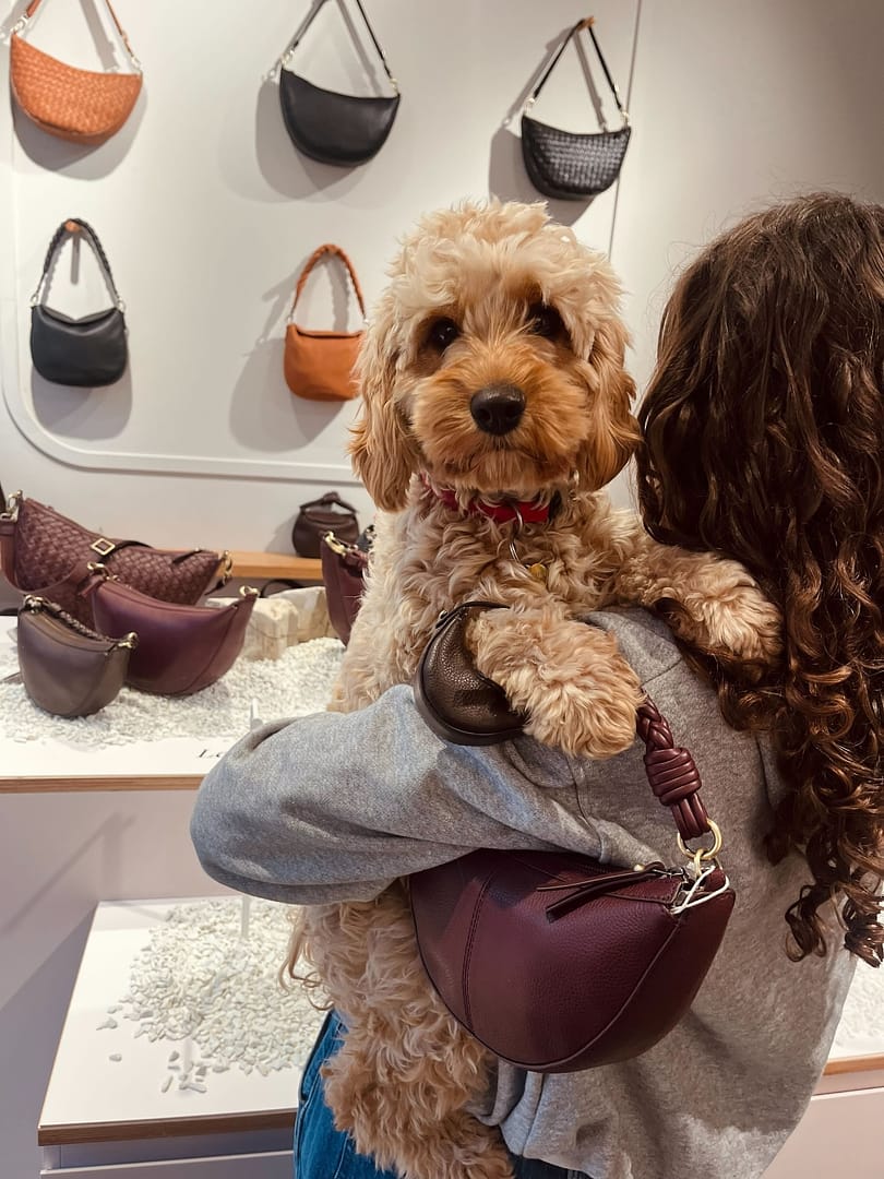 Leo Midi Twisted Handle - Wild Oak Soft Grain Leather