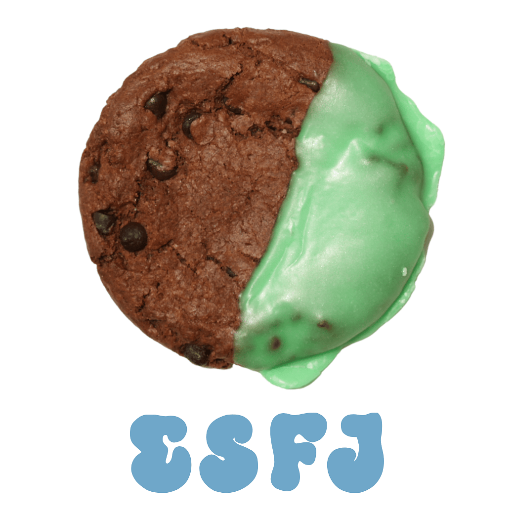 WEB exclusive] Salty Chocolate Mint (vegan cookies)