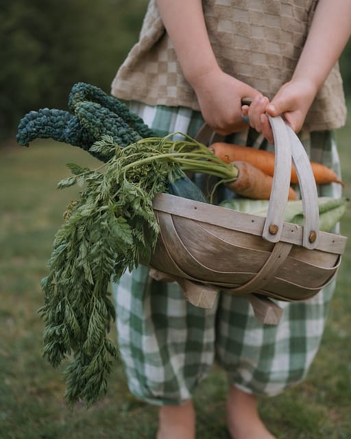 Dill Gingham Resort Pants | Organic Zoo