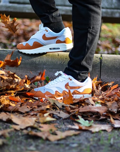 Nike Air Max 1 Patta Monarch (Special Box)