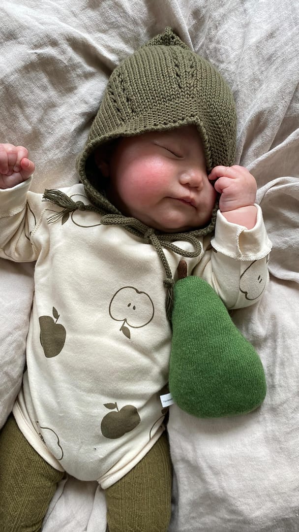 【新品】プリスティン　鹿の子プルオーバーbshop/マカフィー/ロンハーマン