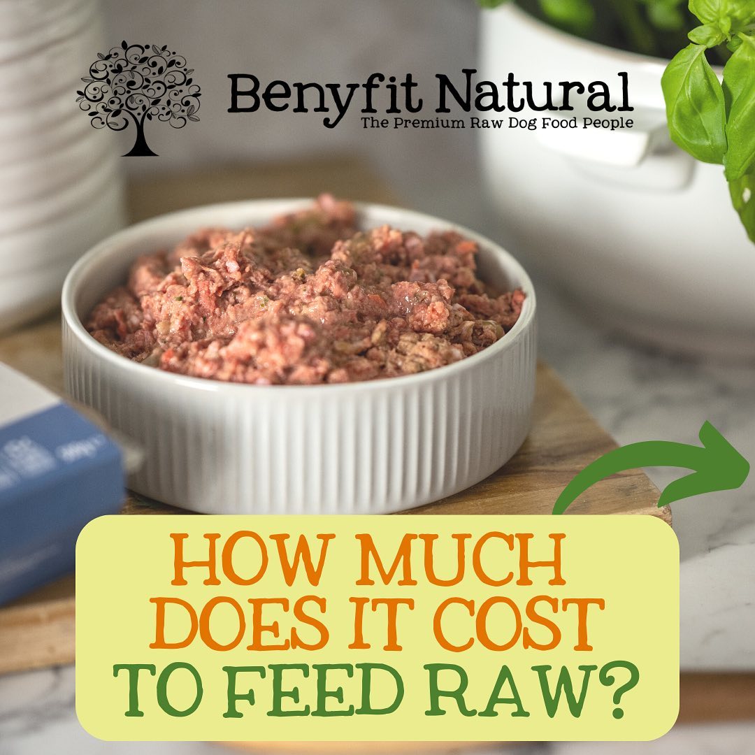 Prepackaged raw food for dogs best sale