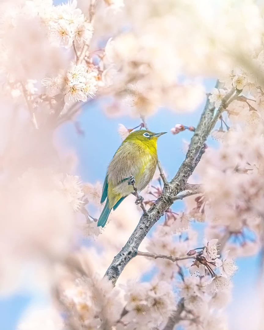 その他 TOKYO GRAPHER OPF 550-L 67mm 480s.jpg?v=1662947082&width=1200