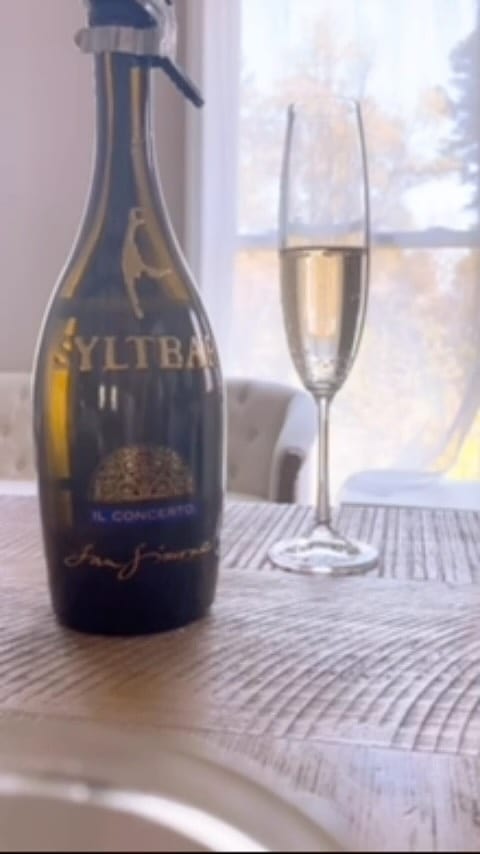 OWO Champagne Stoppers Stainless Steel Champagne Saver With Silicone Leak Proof Wine Stoppers For Red Wine Champagne Cava And Sparking 2 Pack - View #8