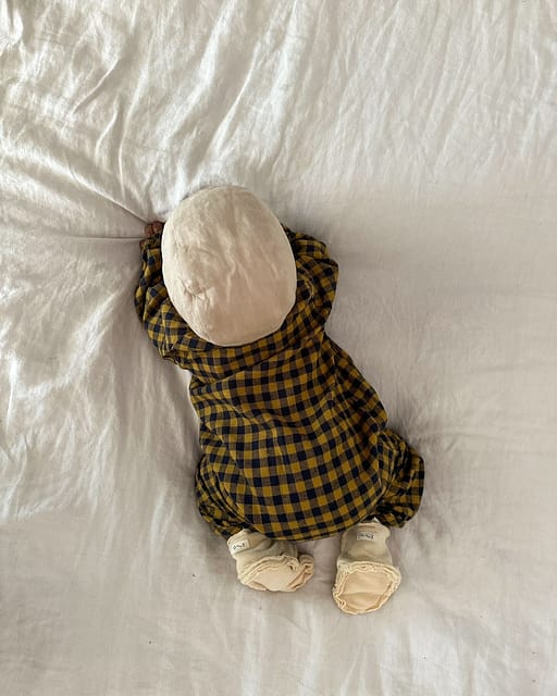 Onesie オーガニックズー　Blueberry Gingham