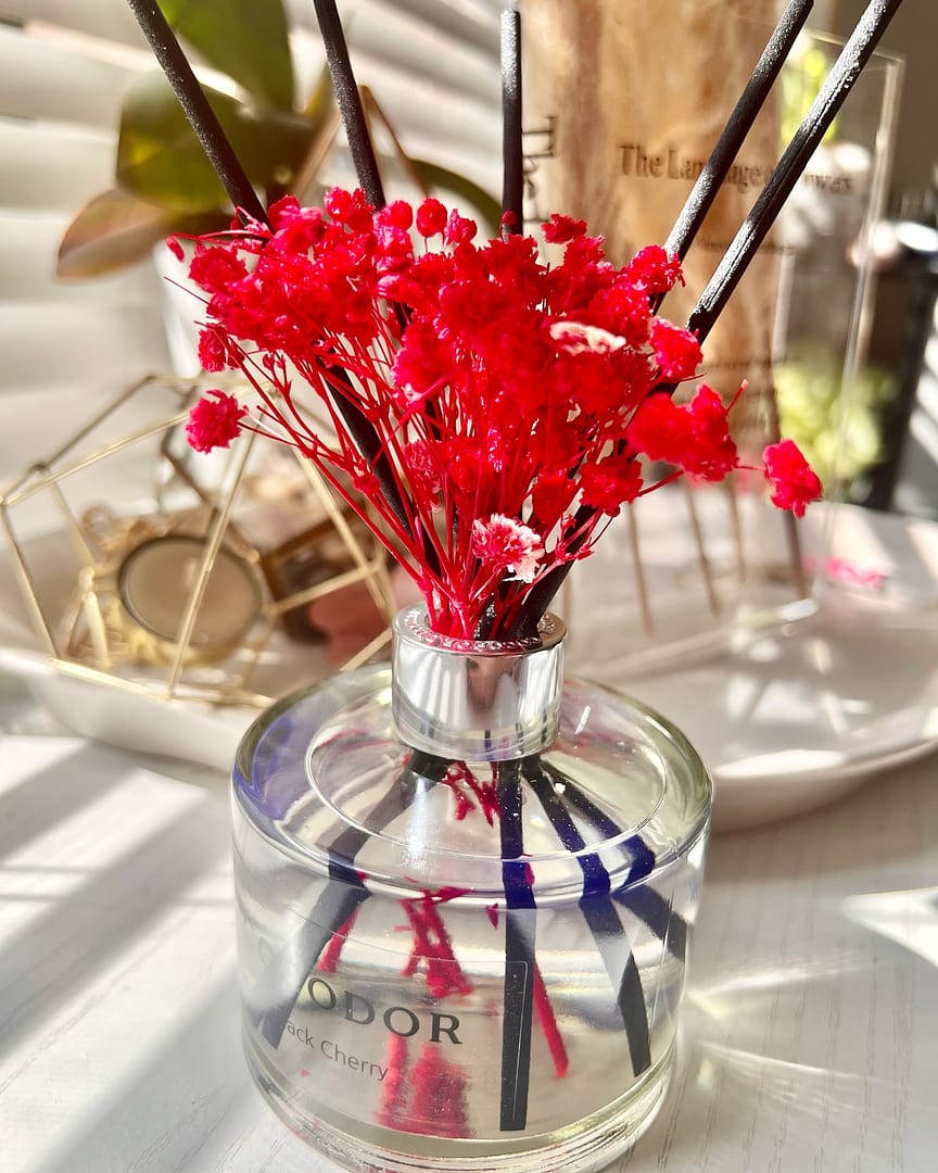 Black Cherry – COCODOR US