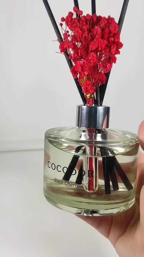 Black Cherry – COCODOR US