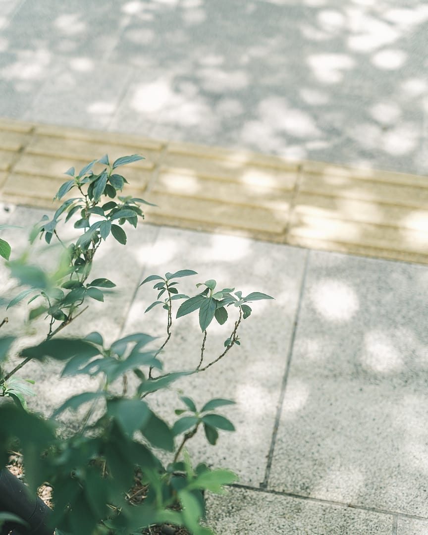 XF35mm f1.4 r ＋Tokyo Grapher OPF550-S XF35mm f1.4 r ＋Tokyo Grapher OPF550-S OPF 550-S【カメラレンズ用