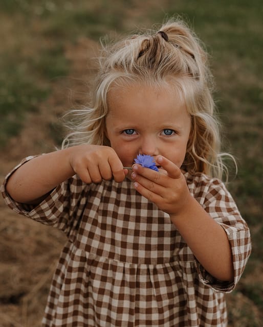 Chestnut Gingham Gather Dress | Organic Zoo