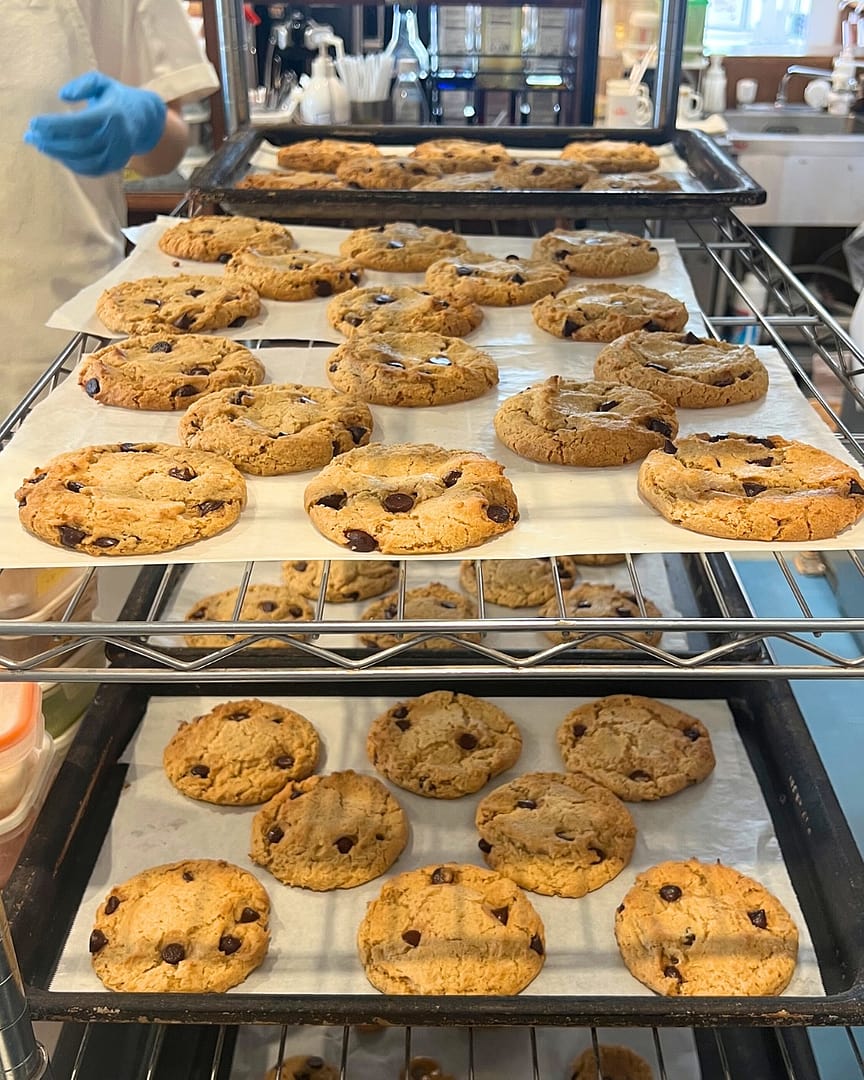 CHOCOCHIP COOKIE 11 アイボリー インポッシブルチョコレートチップ（ヴィーガンクッキー）