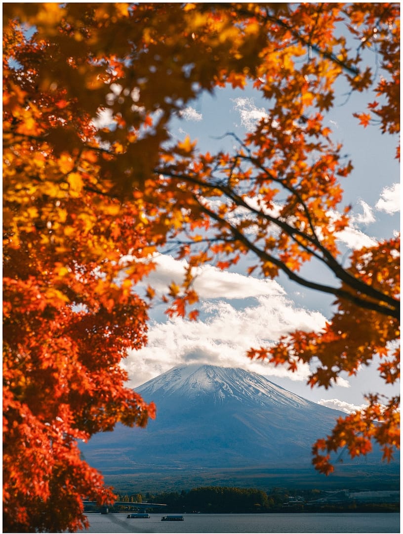 OPF 480-S【カメラレンズ用フィルター】TOKYO GRAPHER