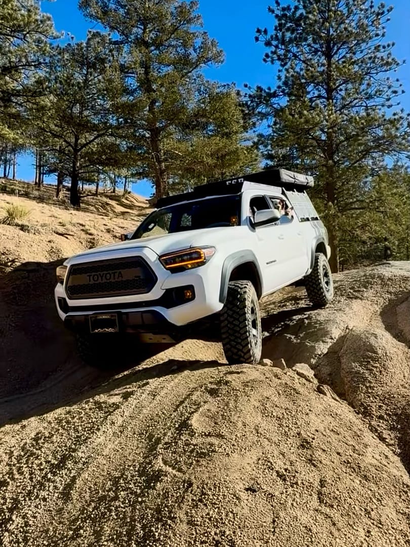 Top 10 Bleach Openings | Articles on WatchMojo.com, image size:810x1080