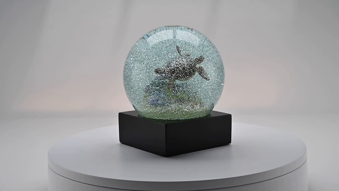 Cat in Box Snow Globe – CoolSnowGlobes